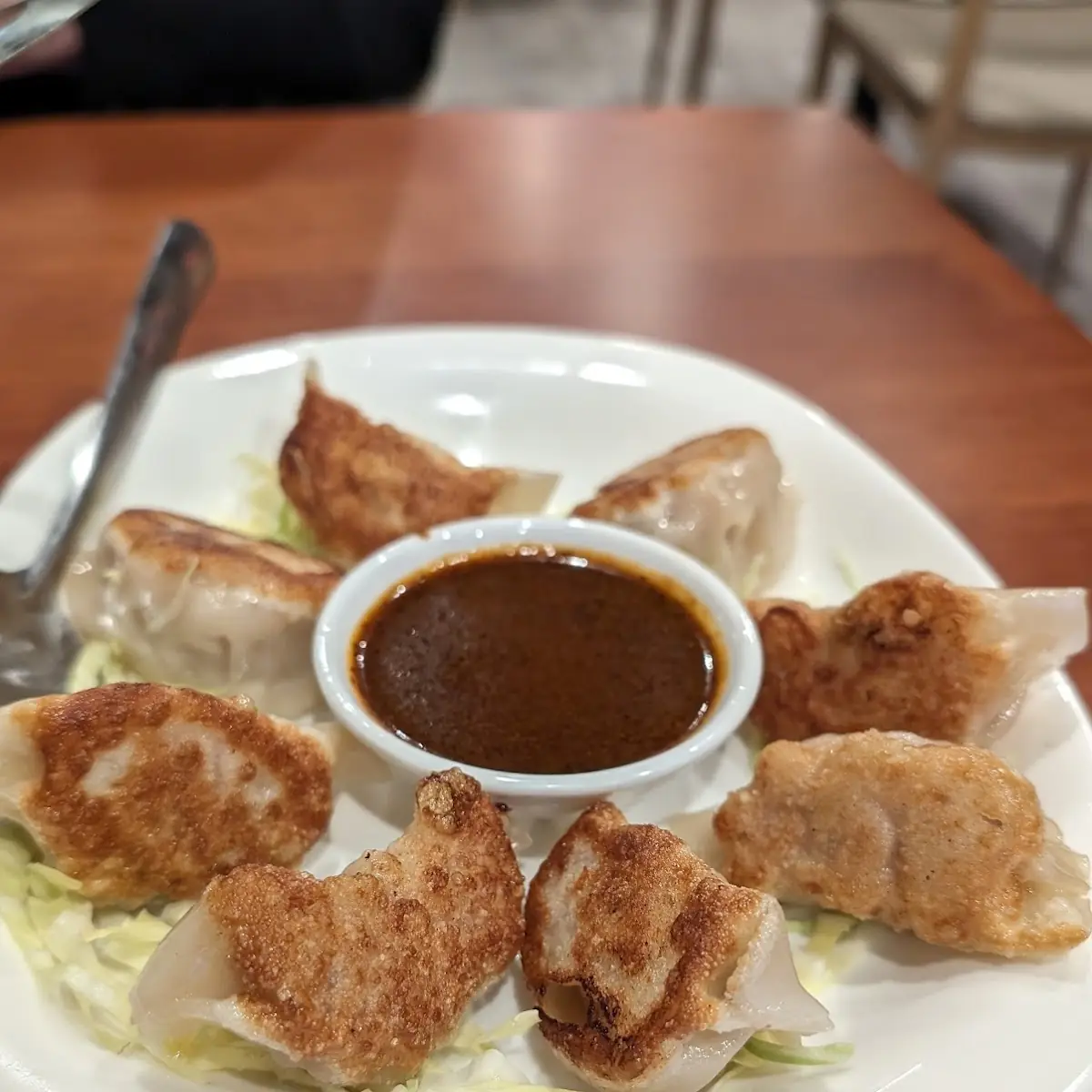 pork vegetable pot stic 猪肉锅贴